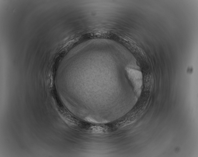 X0000097830703200803281200