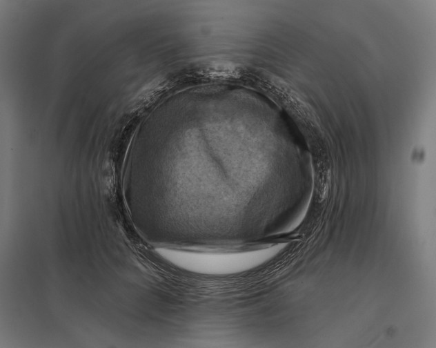 X0000097830704200803281200