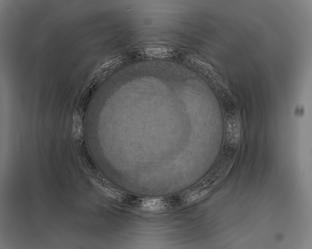 X0000097830705200803281200