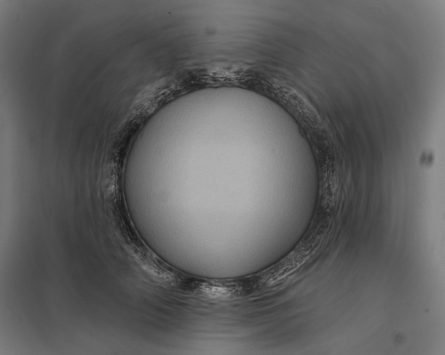 X0000097830706200803281200