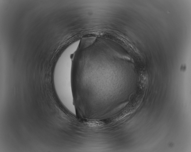 X0000097830707200803281200