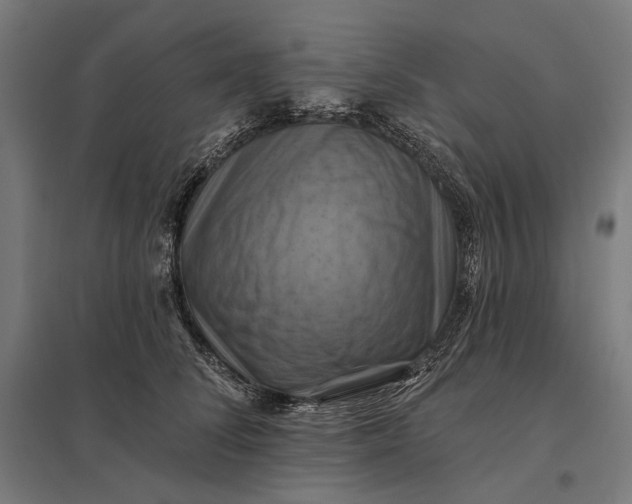 X0000097830708200803281200