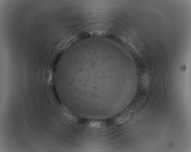 X0000097830709200803281200