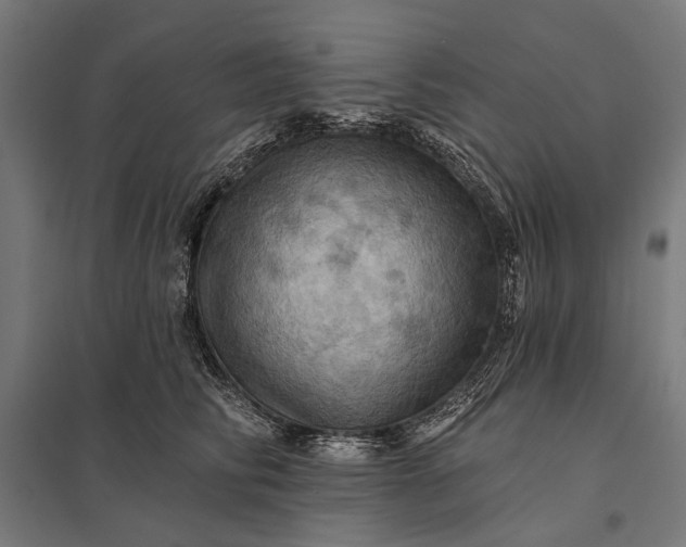 X0000097830710200803281200