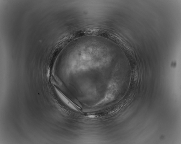 X0000097830711200803281200