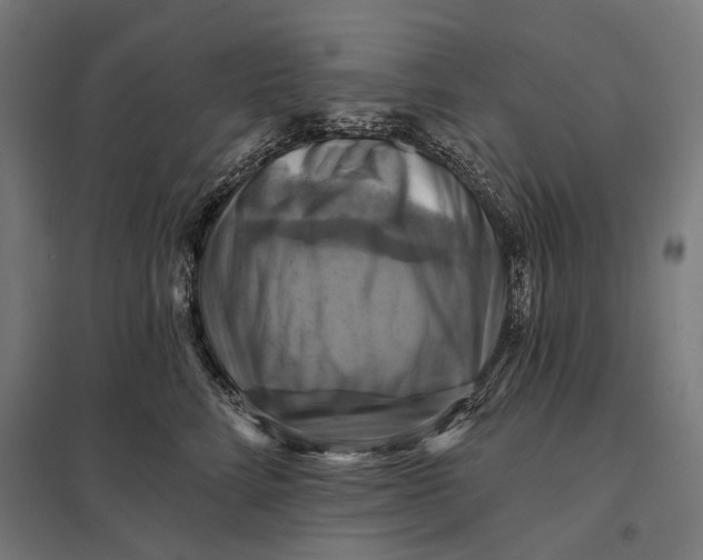 X0000097830712200803281200