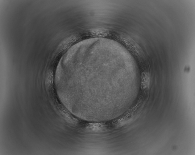 X0000097830713200803281200