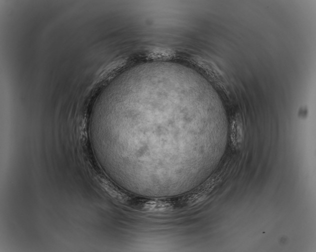 X0000097830714200803281200