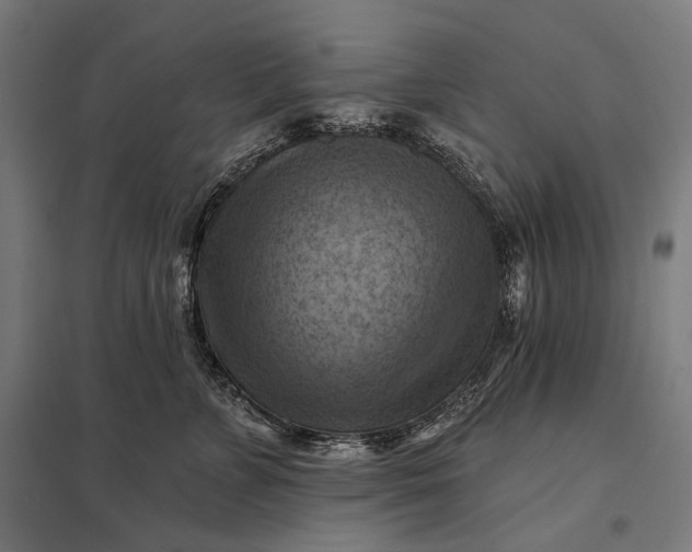 X0000097830715200803281200