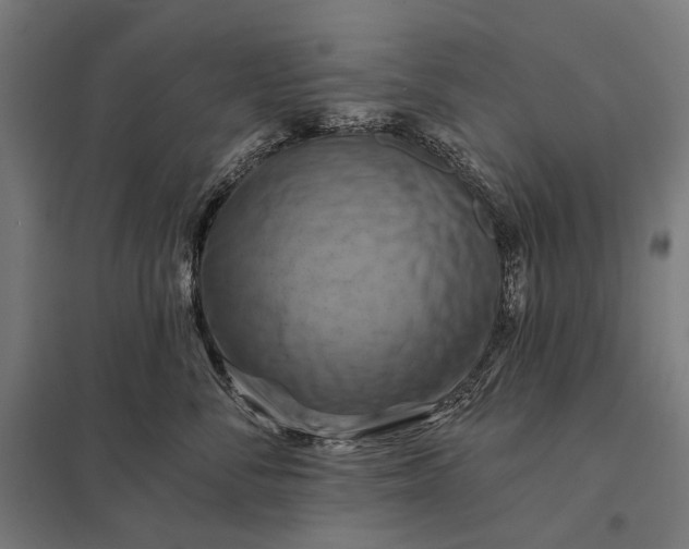 X0000097830716200803281200