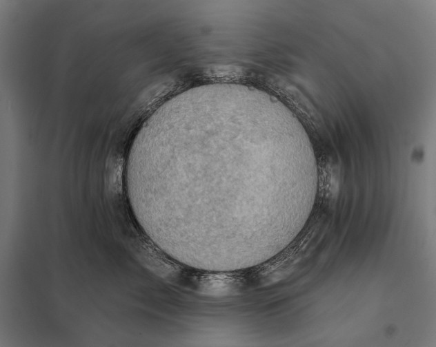 X0000097830717200803281200