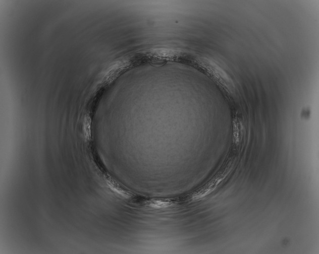 X0000097830718200803281200