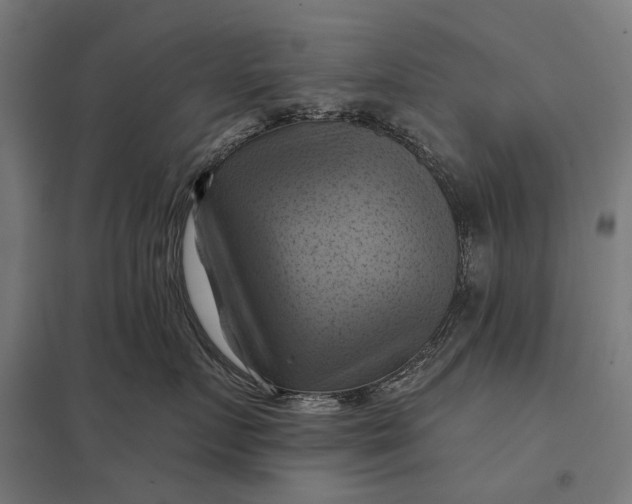 X0000097830719200803281200