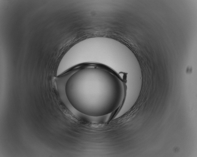 X0000097830720200803281200