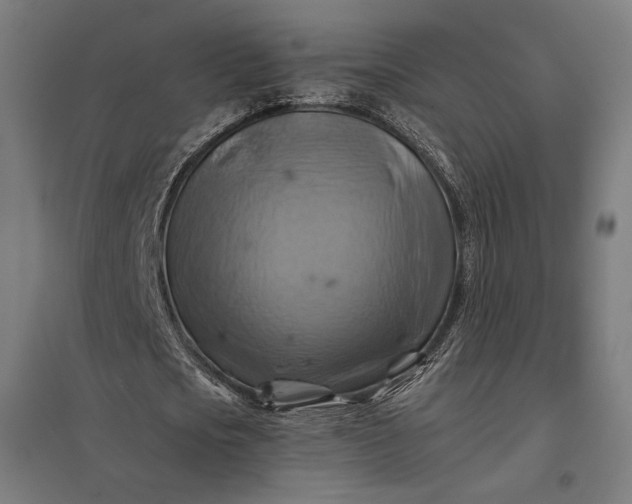 X0000097830721200803281159