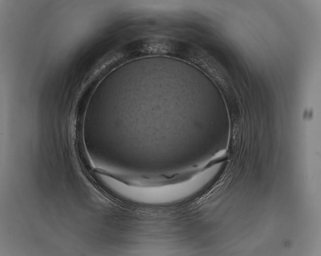 X0000097830722200803281159