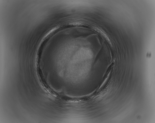 X0000097830724200803281159