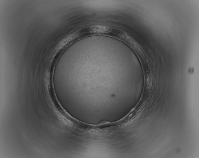 X0000097830725200803281159