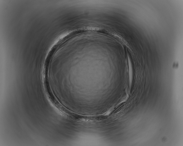 X0000097830726200803281200