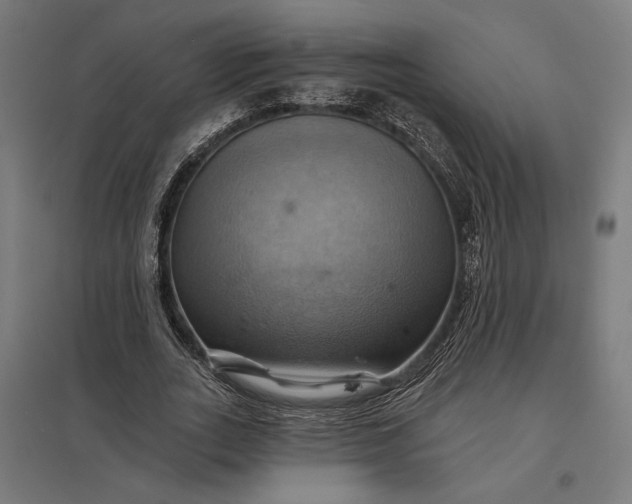 X0000097830727200803281200