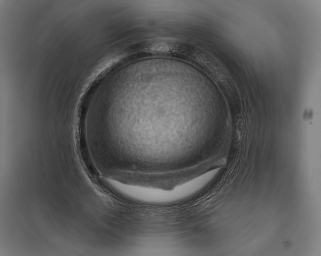 X0000097830728200803281200