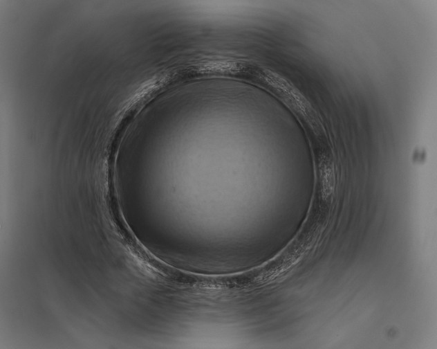 X0000097830729200803281200