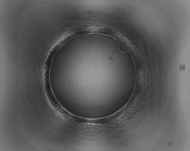 X0000097830730200803281200