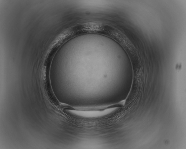 X0000097830731200803281200