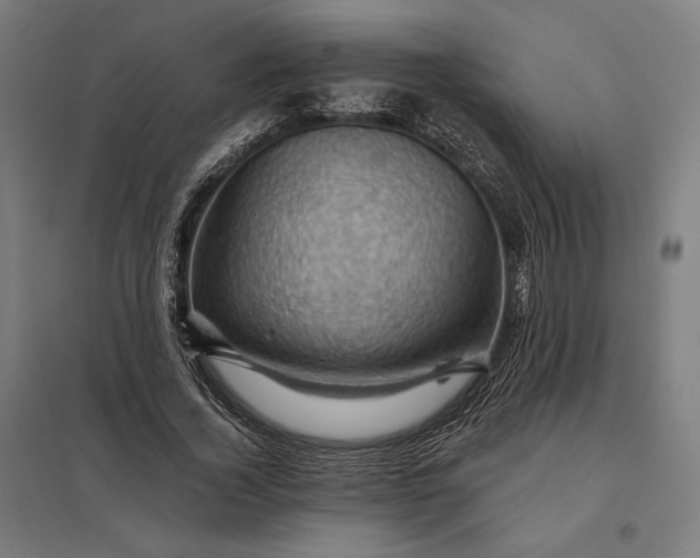 X0000097830732200803281200