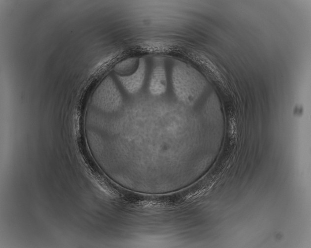 X0000097830733200803281200