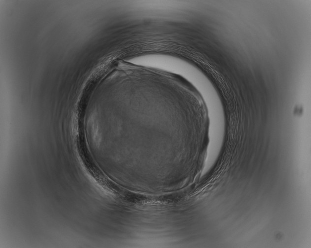 X0000097830734200803281200