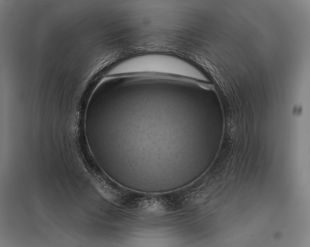 X0000097830735200803281200