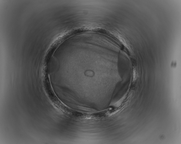 X0000097830736200803281200