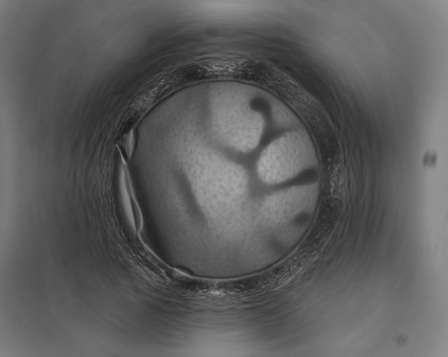 X0000097830737200803281200