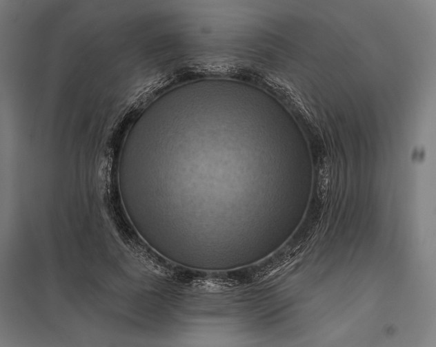 X0000097830739200803281200