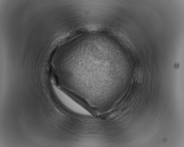 X0000097830740200803281200