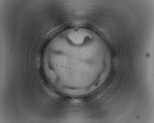 X0000097830741200803281200