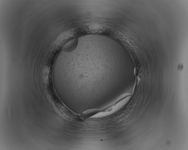 X0000097830742200803281200