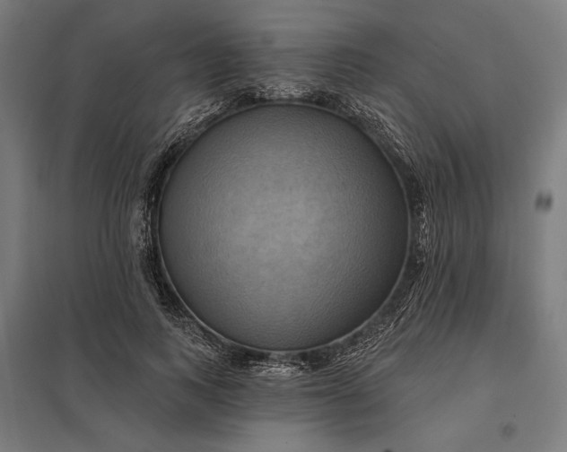 X0000097830743200803281200