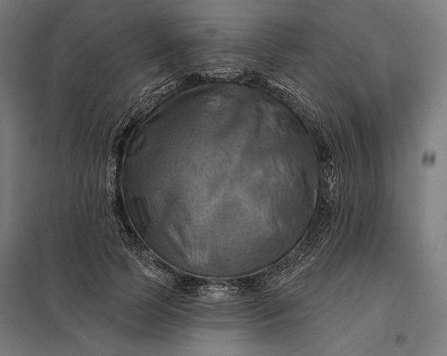 X0000097830745200803281200