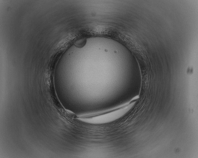 X0000097830746200803281200