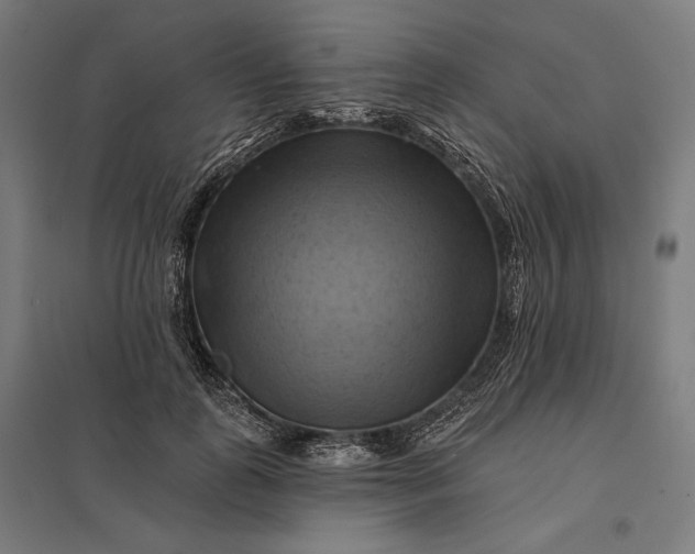 X0000097830747200803281200