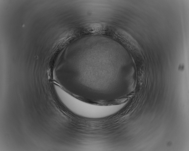 X0000097830748200803281200