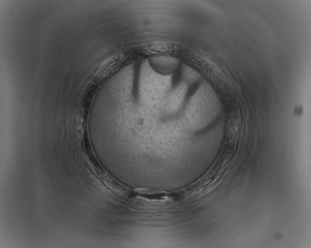 X0000097830749200803281200