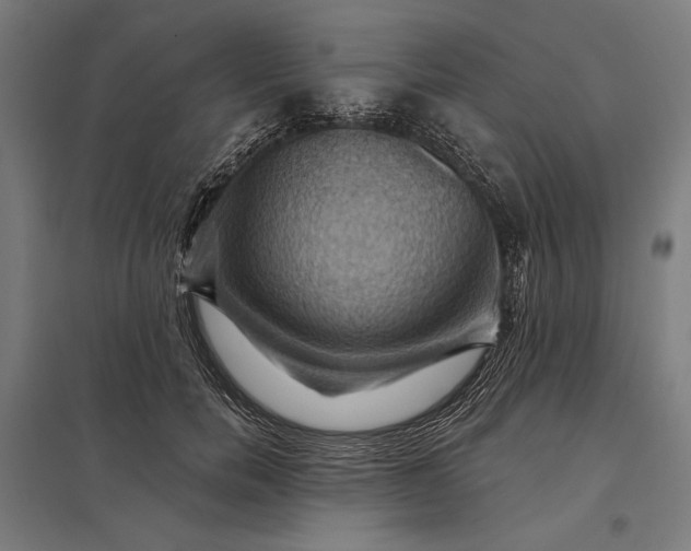 X0000097830750200803281200