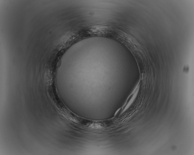 X0000097830751200803281200