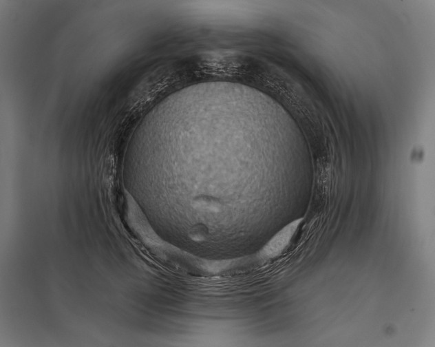 X0000097830752200803281200