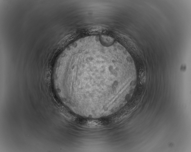 X0000097830753200803281200