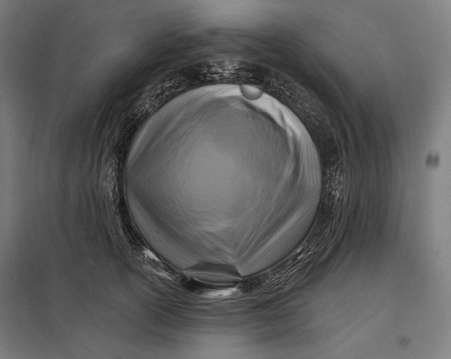 X0000097830754200803281200