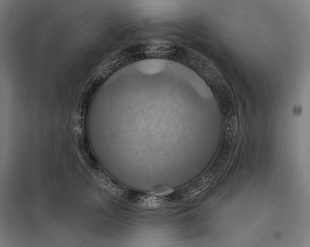 X0000097830755200803281200